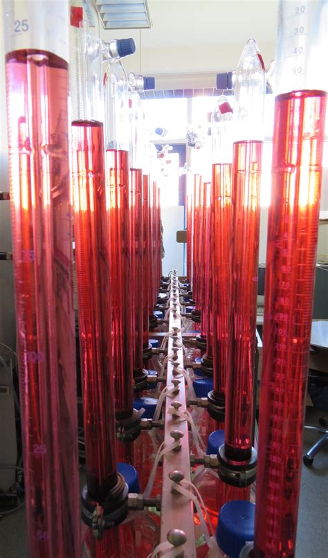 Biomethanation 的图像结果