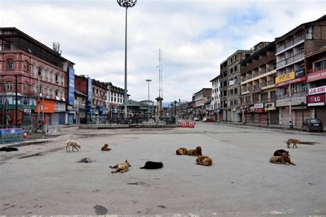 Infant sleeping next to mother in Rajasthan govt hospital killed by ...