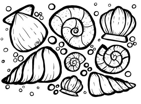 Image result for Shell Color Page