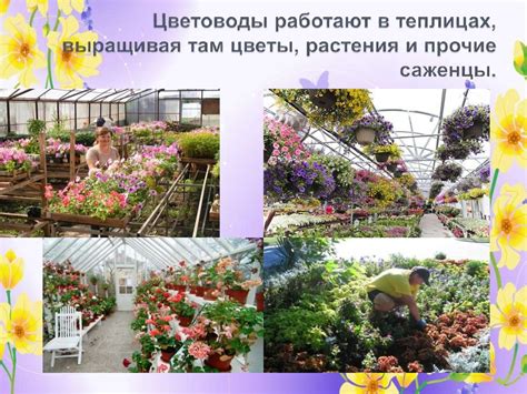 Профессия цветовод. Кубанский государственный аграрный университет ...