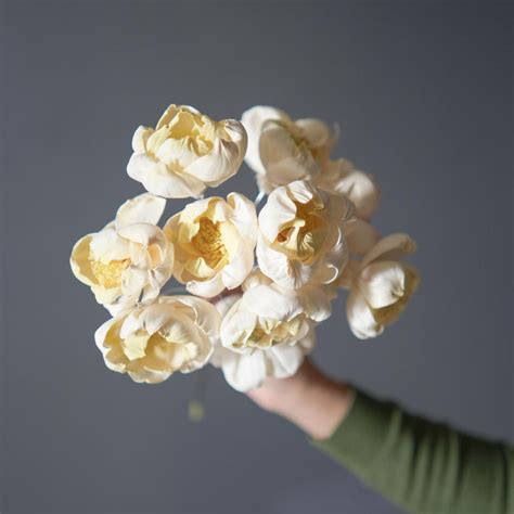 Dual shade sola peony-Yellow and white – https://artecasa.in/
