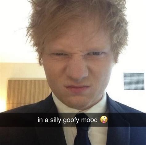 17 ridiculous ed sheeran memes to get you laughing out loud – Artofit