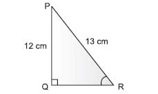 NCERT Solutions for Class 10 Maths Chapter 8 Introduction to Trigonometry