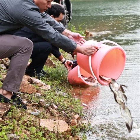 柳江河出现“不明物体”？目击者：水位下降才出现！|南国早报网-广西主流都市新闻门户