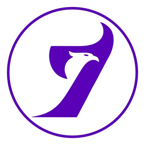 Image result for Visual Seven