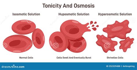Isotonic Diagram