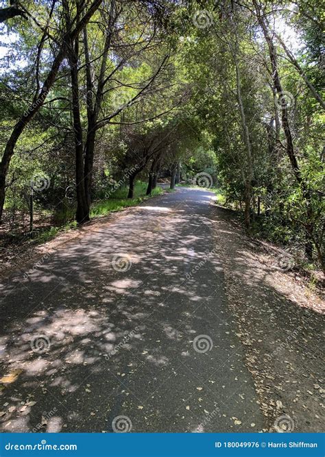 Stevens Creek Trail stock photo. Image of woods, bushes - 180049976