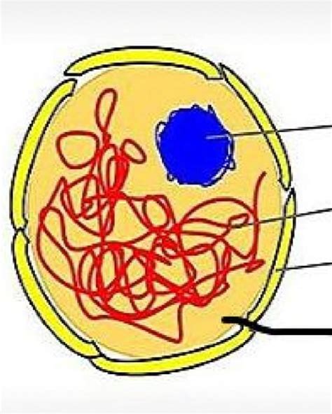 what is the name of the diagram - Brainly.in