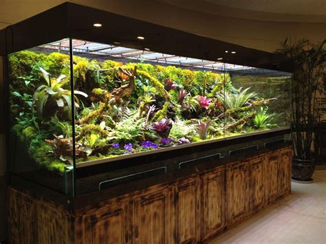 Vivarium, Terrarium plants, Aquarium garden