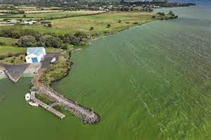 25,000 tonnes of chemicals used per year to make Lough Neagh water ...