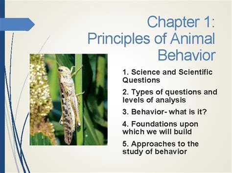 Image result for Methods of Animal Behavior Overview