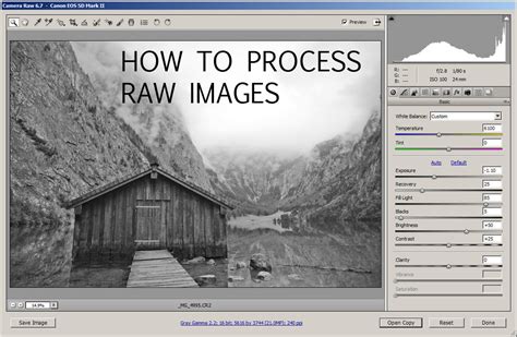 Image result for Raw Processing Software