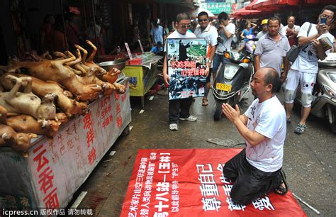广西玉林“荔枝狗肉节”现场遭抵制_旅游频道_凤凰网