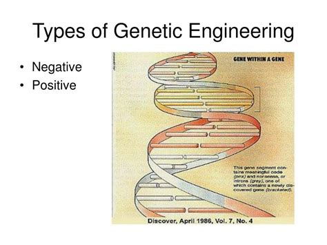 Image result for Types of Genetic Engineering
