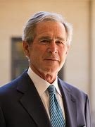 Bush 的图像结果