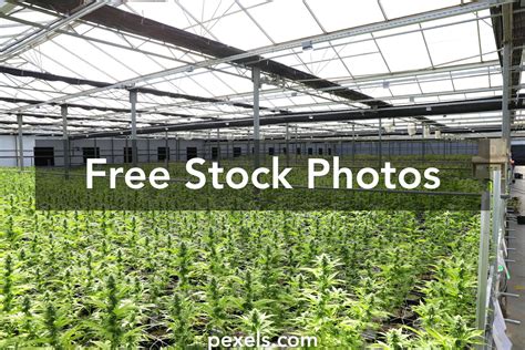 High-Tech Farming 的图像结果