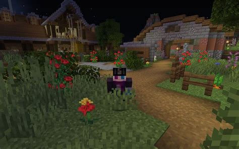 Image result for Code for Spawning Village in Java Edition