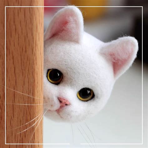 Felting a Cat 的图像结果