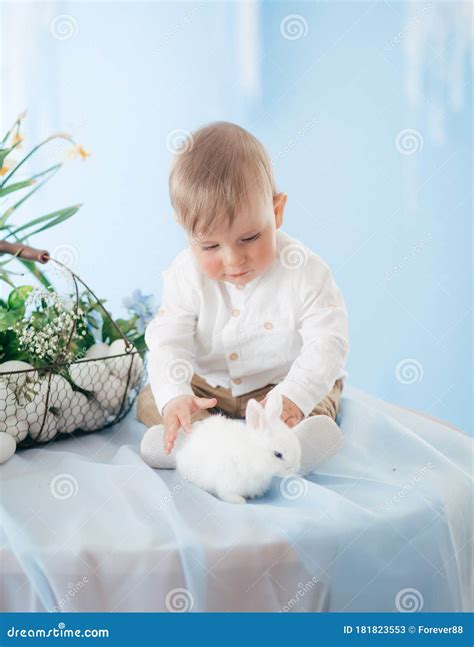 Little Boy Play with Rabbit Indoors in Spring Stock Image - Image of ...