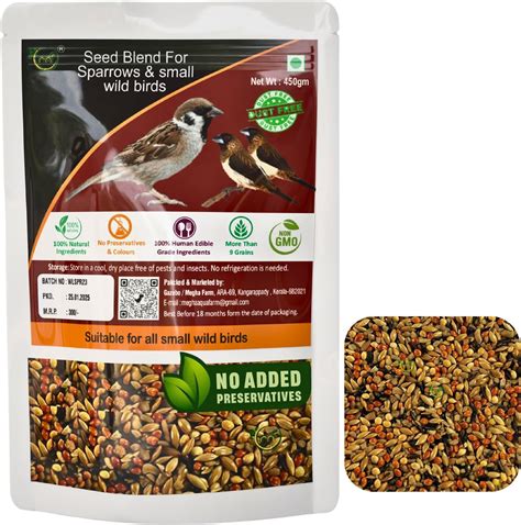 Buy The Birds Company Premium Seed Blend of 9 Grains & Nuts, Bird ...