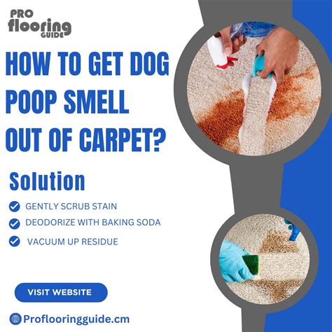 Pro Flooring Guide: The perfect floor for every space | Pro flooring ...