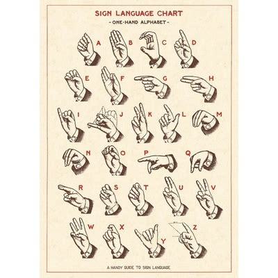 Cavallini & Co. Cavallini & Co. Sign Language Chart Decorative India | Ubuy