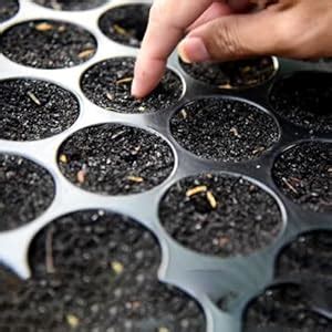 Kraft Seeds Seedling Tray - Pack of 5 & 2 in 1 Spinach and Coriander ...