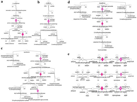 MicroRNA and Transcriptomic Profiling Showed miRNA-Dependent Impairment ...