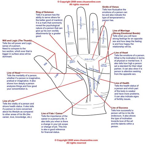 YOUR DESTINY IS IN YOUR HAND WHAT THOSE LINES ON YOUR PALM MEAN | Palmistry, Palmistry reading ...