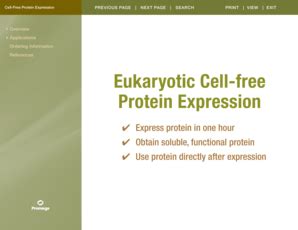 Fillable Online Eukaryotic Cell-free Protein Expression Interactive ...