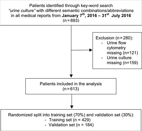 Mixed Urogenital Flora In Urine Means at Roxanne Bell blog