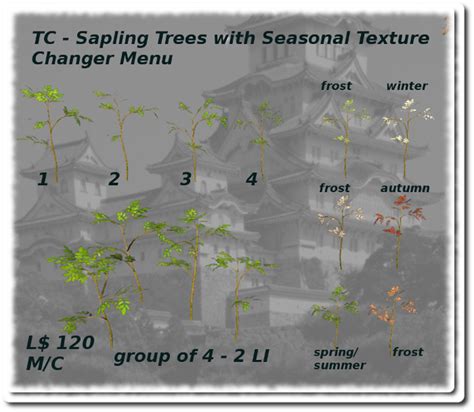 Image result for Life Tree Sapling