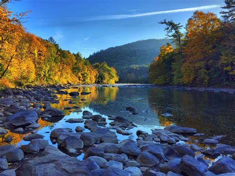 Meet Our Dedicated Team | Iron Bank