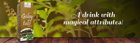 Krishna's Geloy Tulsi Juice Immunity Booster 1000 Ml : Amazon.in ...
