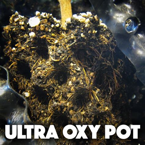 Buy HTGSupply Ultra Oxy Pot 7.5 Gallon Super Air-Pruning Planter ...