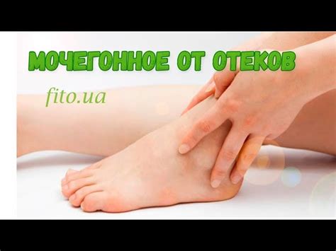 Мочегонные средства при отеках ног и лица: таблетки мягкого и мощного ...