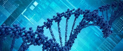 Activate DNA Test 的图像结果