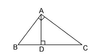 NCERT Solutions Class 10th Maths Chapter – 6 Triangles - Amresh Academy