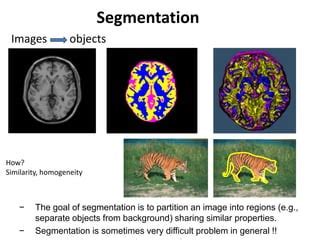 Image result for Segmentation Task in Computer Vision