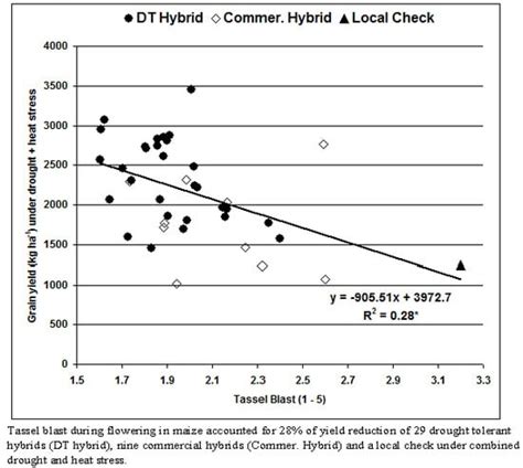 Performance Assessment of Drought Tolerant Maize Hybrids under Combined ...