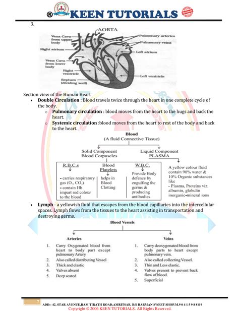 Image result for Notes Class 10 Science Flowchart