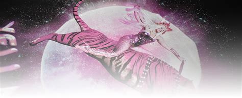 Image result for Simulated Process Screenprint