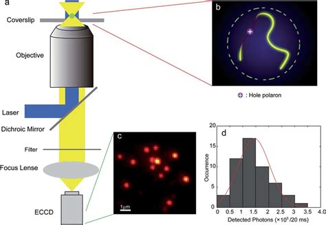 Image result for Single Particle Tracking Algorithm