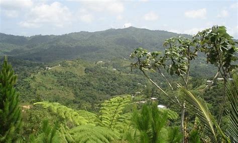 Cayey Tourism (2023): Best of Cayey, Puerto Rico - Tripadvisor