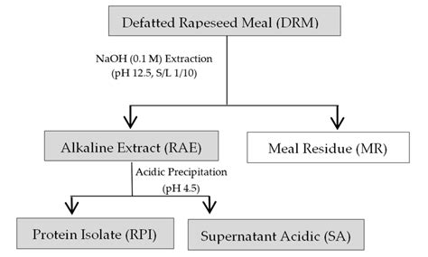 Image result for Protein Extraction Graphical Abstract