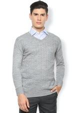 Buy Men Grey Textured V-Neck Sweater Online - 539025 | Van Heusen