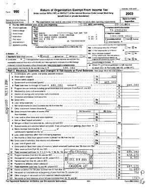 Fillable Online Return of Organization Exempt From Income Tax Form 2003 ...