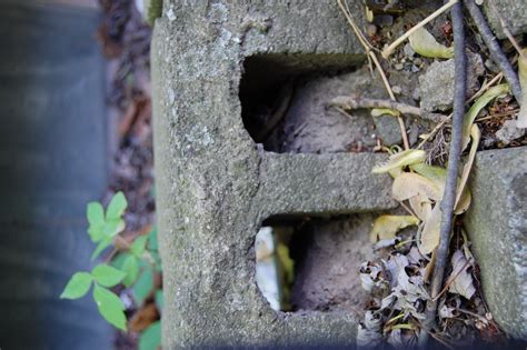 Object,look like,letter e,letters from objects (letter "e&,free pictures - free image from ...