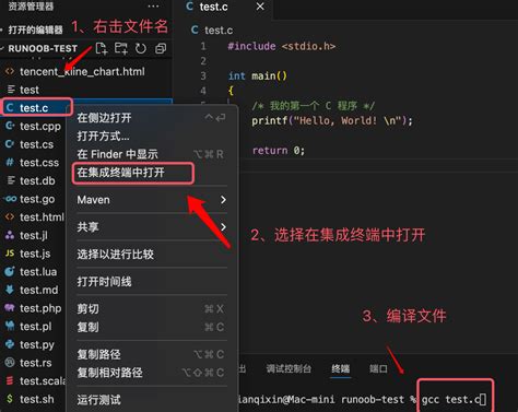 C Using Visual Studio Code 的图像结果