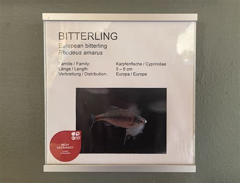 ZooLex Image - Identification sign